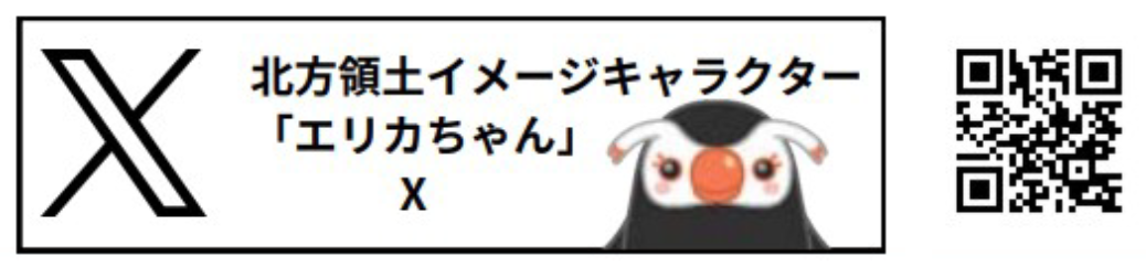 エリカX